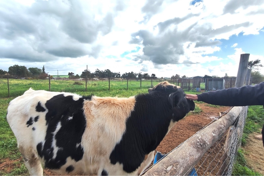 0 Bedroom Property for Sale in Moorreesburg Rural Western Cape
